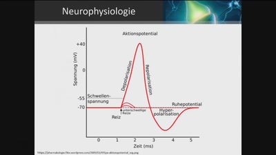 Neuroprothetik