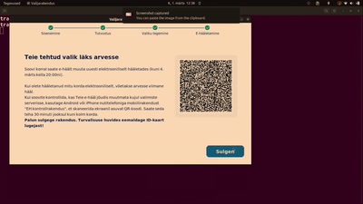 Should e-voting experience of Estonia be copied?