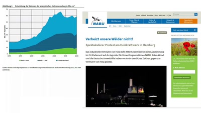 Hört bitte auf Bäume zu pflanzen!