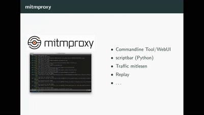 Safety ja, Security nein. Analyse eines breit eingesetzten Einsatzmanagmentsystems.
