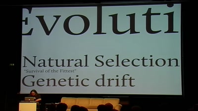 Evolutionary Algorithms 101